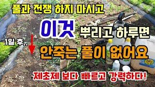 풀 힘들게 뽑지 말고 이것 뿌리고 하루면 풀 싹죽습니다 제초제보다 빠르고 강력합니다 천연제초제 만들어 뿌려보세요.