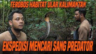 EKSPEDISI NEKAT !! PANJI TEROBOS HABITAT ULAR DI HUTAN KALIMANTAN