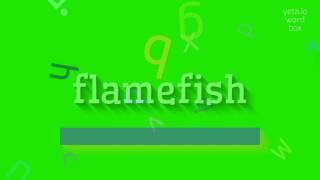 FLAMEFISH - HOW TO PRONOUNCE FLAMEFISH?