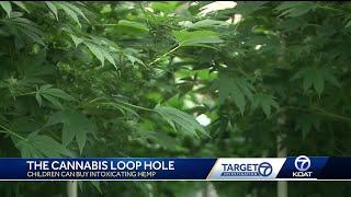 Cannabis loophole allows unregulated hemp products to bypass New Mexico laws