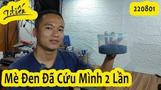 Công Dụng Của Mè Đen Rang - Mè Đen Rang Sẵn | Tiến Simple