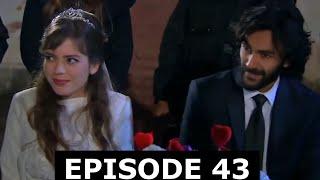 Sardar Drama Season 4 Episode 43 ددري مورچل برخه / Da Dare Morchal/ Sungurler/ #saeedtvinpashto
