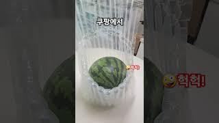 6월 수박을 쿠팡에서 시킨다면? 후덜덜