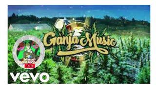 Sr.Tec Divulga - Canal(GANJAMUSICHD) Calid P - Herbalist (weB-MUSIC -- Originers)