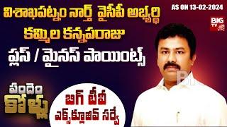 Visakhapatnam North Assembly Constituency YCP MLA Candidate K.K. Raju | BIG TV AP Election Survey