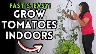 How to Grow Cherry Tomatoes Indoors: Easy Steps with Vego Garden Self-Watering Tomato Planter