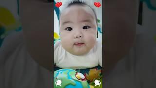 baby laughing video || funny baby videos ️