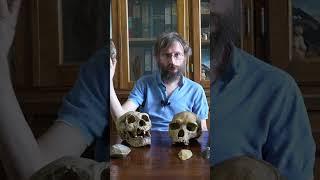 Зачем нужна теменная доля мозга – Станислав Дробышевский #наукаpro #дробышевский #антропология #мозг