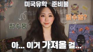 [미국유학 준비물] 내가 유학오기 전 이걸 알았었더라면...| 생필품, 생활비(카드, 송금 등) |