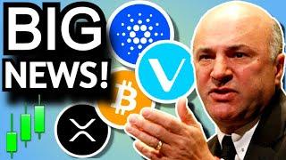 BIG CRYPTO NEWS - SAMSUNG CARDANO ADA - VECHAIN STABLECOIN VEUSD - WONDERFI BITBUY ACQUISITION