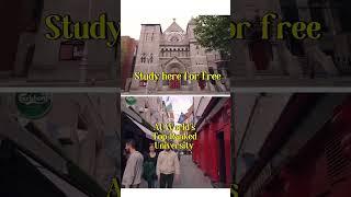 University College Dublin | Scholarship in Ireland | UCD | How to Study Abroad for Free #shorts