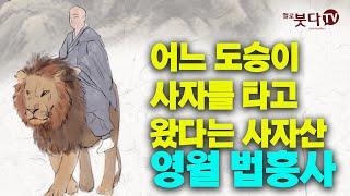 어느 도승이 사자를 타고 왔다는 사자산 영월 법흥사 오대적멸보궁 7회 | 불교 사찰 전설 설화 이야기 부처님