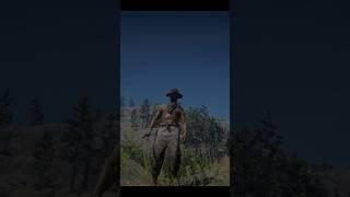 Funny Chasing in RDR 2 #rdr2 #shorts #gaming