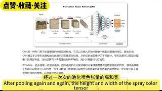 8：图像识别：如何让机器“看”懂世界