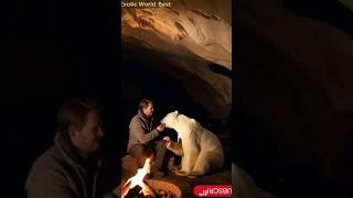 "Man Feeding a Bear: A Rare Moment in the Cave by Firelight". #красотароссии #italytourism