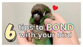 6 TIPS ON HOW TO GET ALONG AND BOND WITH YOUR BIRD | How to Bond with Your Bird