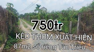 ĐẤT NỀN NGAY KHU SINH THÁI LÀNG BƯỞI TÂN TRIỀU CHỈ 750TR