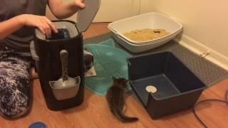 How to Use a Litter Genie! How to Set Up a Litter Box for Tiny Kittens!