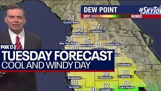 Tampa weather | cool and windy conditions persist on March 19, 2024