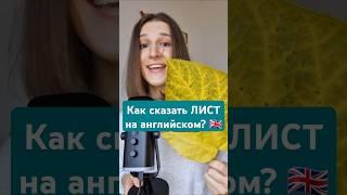 Как сказать ЛИСТ на английском? ️ #английский #английскийдлядуши