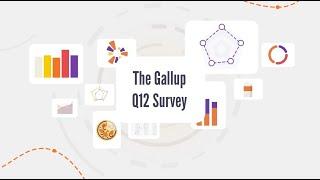 What The Heck is The Gallup Q12 Survey?