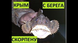 Крым. Ночная рыбалка с берега на скорпену (морского ерша)