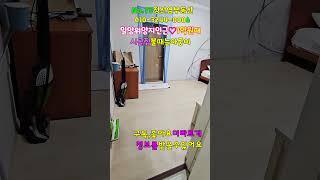 No.74 1억초반가! 시내와 가까운 시골마을 불때는 아궁이 있는 벽돌조주택 집주인처럼 이쁜정원에 주택도 올수리 깔끔해요 넉넉한 텃밭 남향 #밀양촌집 #밀양전원주택매매 #밀양부동산