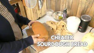 Easy CHEATER Sourdough Sandwich Bread | Great for Beginners!