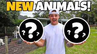 We got NEW ANIMALS for the Backyard!!