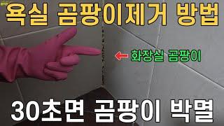 욕실 곰팡이제거 어렵지 않습니다! 30초면 화장실 실리콘 곰팡이 완벽히 제거할수 있어요~매직청소tv