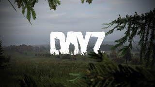 Развитие на Хардкоре DAYZ. Стрим . Проект "One more Dayz Hardcore"