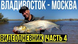 Мы в Хабаровске. Рыбалка на Амуре.Музей рыб Амура.  Решаем вопросы с кемпером. Часть 4