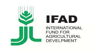 Understanding IFAD  A Comprehensive Guide to the International Fund for Agricultural Development