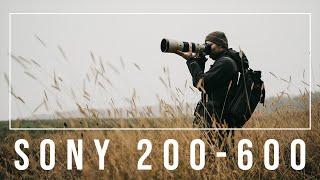 Sony 200-600 G - our tipps, experiences and critique