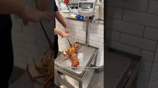 HOW TO BUY LOBSTER #SHORTS #COOKING