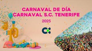 Carnaval de día de S/C de Tenerife | 2025