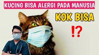 KUCING ALERGI MANUSIA ‼️ KOK BISA ⁉️ || drh Mirza Yusa || Dokter Hewan