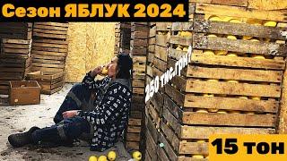 САД 2024: Скільки заробили? Ми мільйонери? Не лізь, ВБ'Є