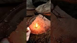 Easy Ways To Start Fire Part 1 #camping #survival #fire #bushcraft  #outdoorskills