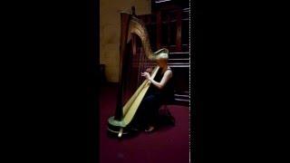 Pachelbel Canon in D: Classical Harp performed by Jude Harpstar