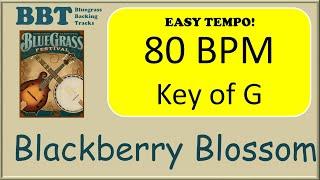 Blackberry Blossom  - bluegrass backing track 80