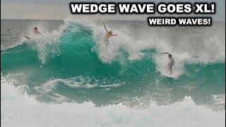 PUERTO RICO WEDGE WAVE GOES XL! (WEIRD WAVES)