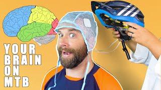 Your Brain While Mountain Biking | MTB NEWS