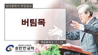 충만한교회 l 2024. 8. 25. (일) l 주일대예배 l 야고보서 5 : 7 ~ 11 | 버팀목 | 임다윗 담임목사