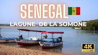 Sénégal - Lagune de la Somone - 4K UHD