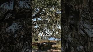 Beaufort's Elliott Park: Where Revolutionary Cannons Meet Confederate History