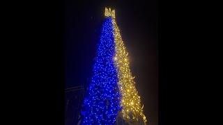 Новогодняя елка в Киеве 2023