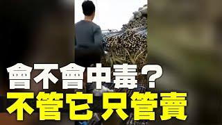 中共治下，毒食品層出不窮| #大紀元新聞網