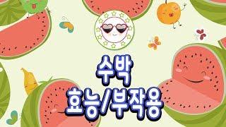 수박효능 성기능강화 발기부전에 좋은 효능 - 수박효능과부작용
