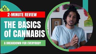 2-Minute Review: The Basics of Cannabis